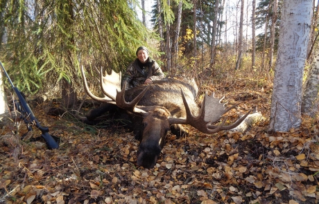 yukon moose hunts self guided