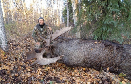 yukon moose hunts