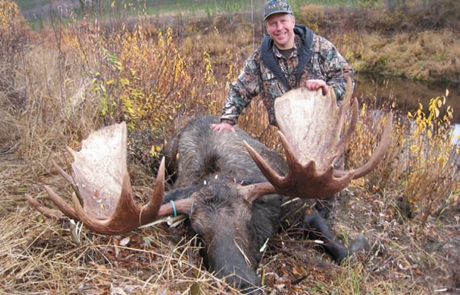 Huge Alaskan Bull Moose Kevin Percival