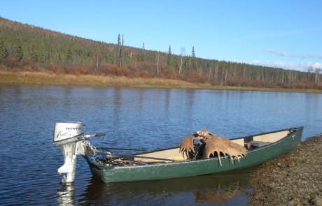 Moose Hunting in Alaska