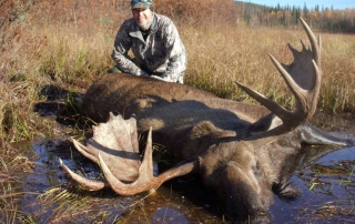 moose hunting