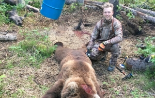 grizzly bear hunt