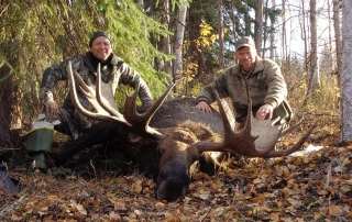 Moose hunting in Alaska