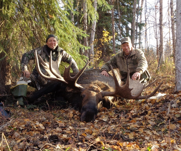 Moose Hunting in Alaska Clearwater Alaska Outfitters
