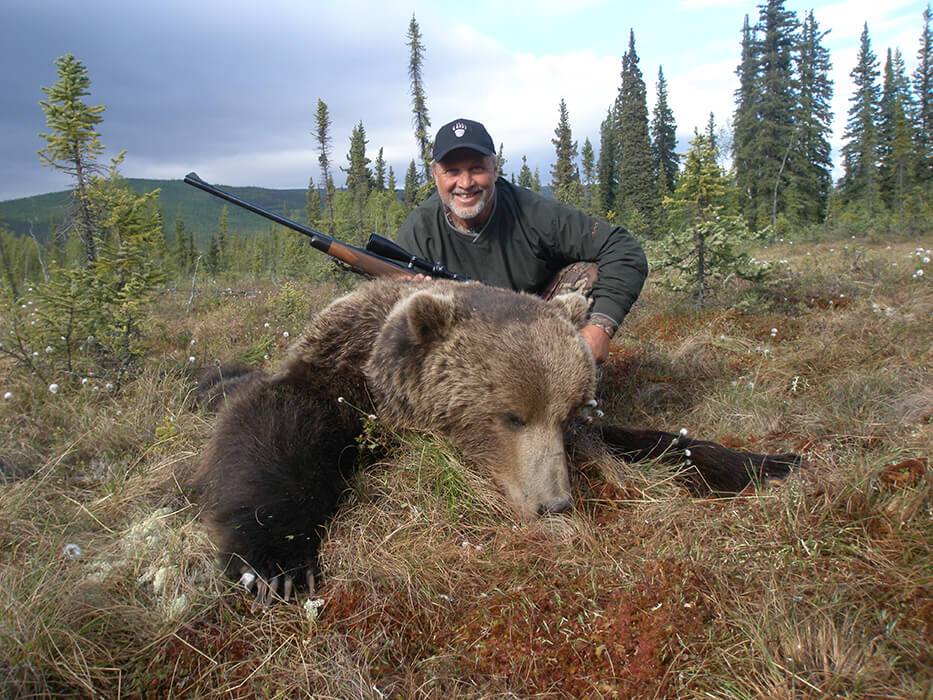 Alaska Grizzly