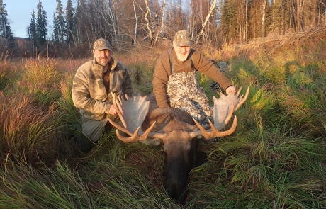 Clear water alaska moose hunting