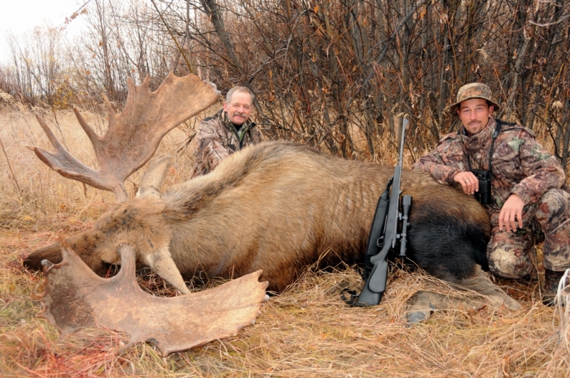 Moose Hunting Alaska, Alaska Moose Hunting Clearwater Alaska Outfitters