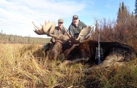 alaska moose hunting