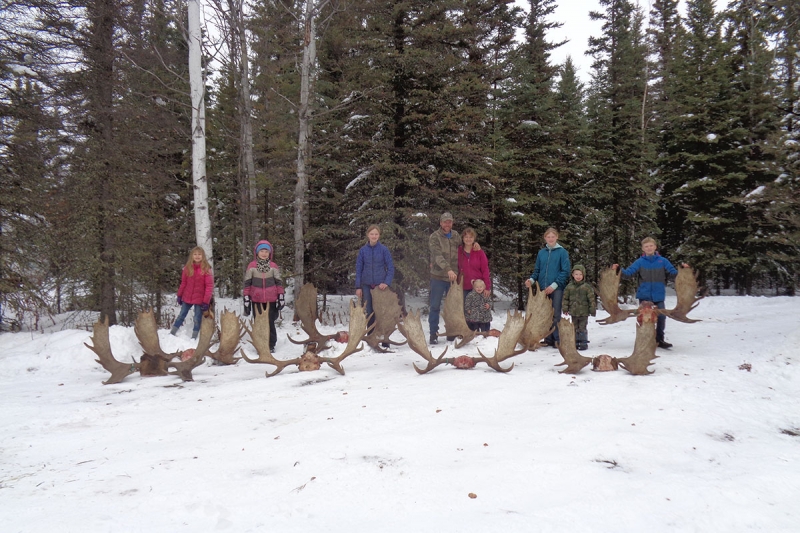 Moose Hunting Alaska, Alaska Moose Hunting Clearwater Alaska Outfitters