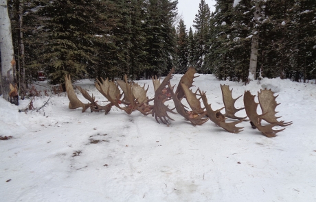 Clearwater Alaska Outfitters 2021 Gallery