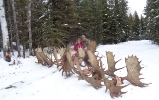 Alaska moose hunting