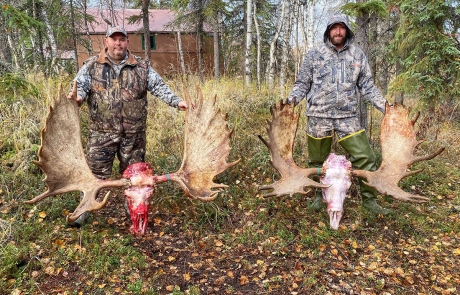 Alaska Moose Hunt