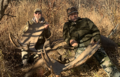 Alaska Moose Hunting 2023