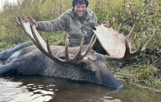 The Beauty of Moose Hunting in Alaska