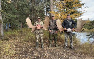 Guided Moose Hunting in Alaska